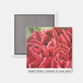 "Januari Bloem: Anjer" Magneet (Voorkant / Achterkant)