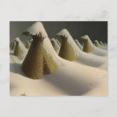 Januari door Grant Wood Briefkaart (Voorkant)