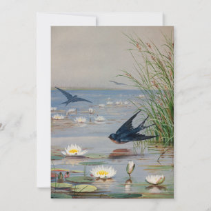 januari   Fidelia Bridges