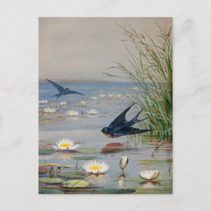 januari   Fidelia Bridges Briefkaart