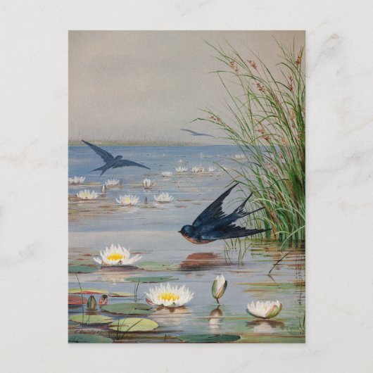 januari | Fidelia Bridges Briefkaart (Voorkant)