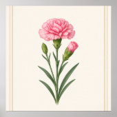 Januari Geboortebloem, Anjer Botanisch Poster (Voorkant)