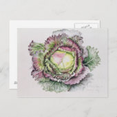 Januari King Cabbage Briefkaart (Voorkant / Achterkant)