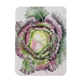 Januari King Cabbage Magneet (Verticaal)