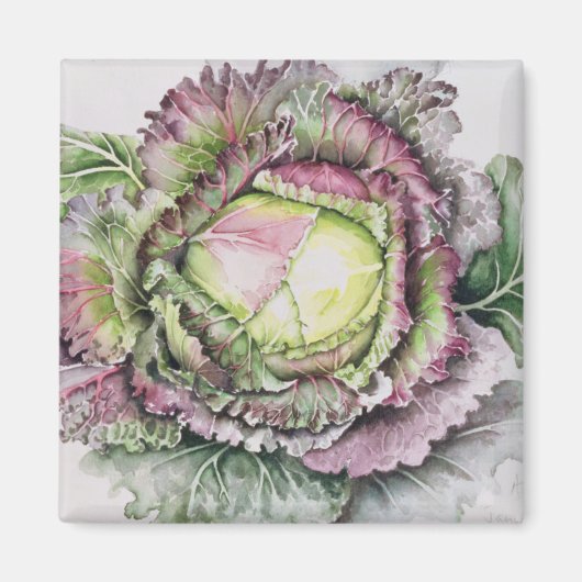 Januari King Cabbage Magneet (Voorkant)