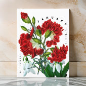 Januari Maand Bloemen Sneeuwklokje Anjer Briefkaart