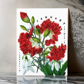 Januari Maand Bloemen Sneeuwklokje Anjer Briefkaart