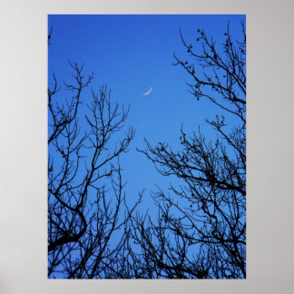 Januari Moon Poster