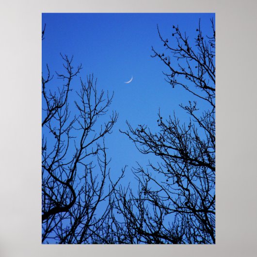 Januari Moon Poster (Voorkant)