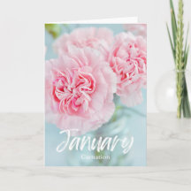 Januari Roze Anjer Geboorte Maand Bloem Verjaardag