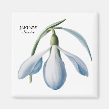 Januari Sneeuwdruppel Bloom - Gepersonaliseerd cad