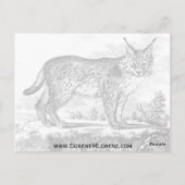 Januari Susitna Briefkaart (Achterkant)