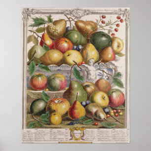 Januari, "Twaalf maanden fruit" Poster