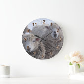 Januari Twee Schapengezichten Grote Klok (Huis)