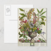 Januari, van ` Twaalf Maanden Bloemen Briefkaart (Voorkant / Achterkant)