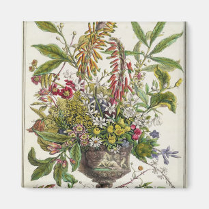 Januari, van twaalf maanden bloemen magneet