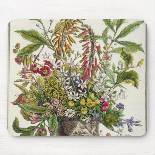 Januari, van twaalf maanden bloemen muismat (Voorkant)