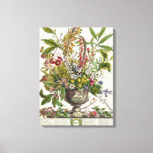 Januari, vanaf `Twaalf Maanden Bloemen' Canvas Afdruk