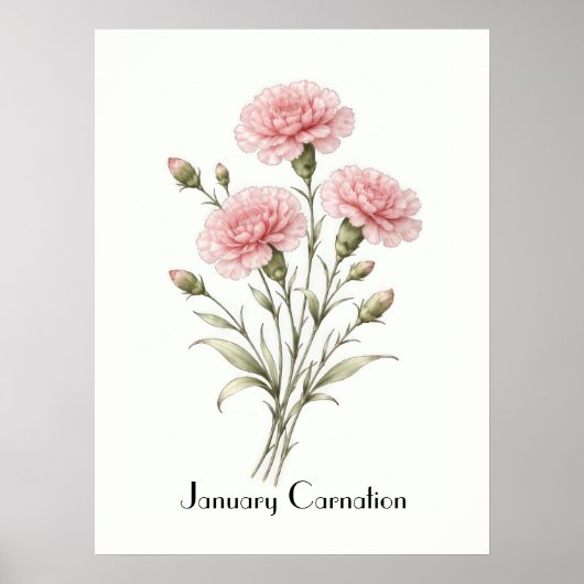 January Carnation Flowers Poster (Voorkant)