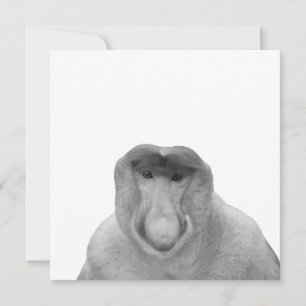 Janusz Meme, Proboscis Monkey, Polak, Pole Janus Bedankkaart