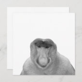 Janusz Meme, Proboscis Monkey, Polak, Pole Janus Kaart (Voorkant / Achterkant)