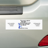Janyia Mirakels reis Bumpersticker (Op auto)