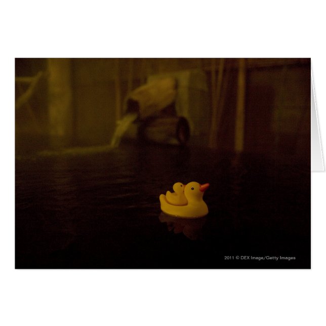 Japan (Voorkant Horizontaal)