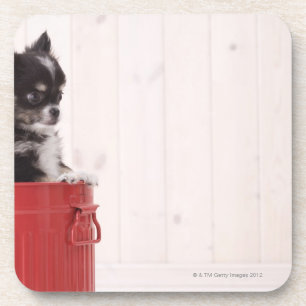 Japan 4 bier onderzetter