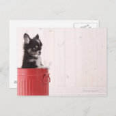 Japan 4 briefkaart (Voorkant / Achterkant)