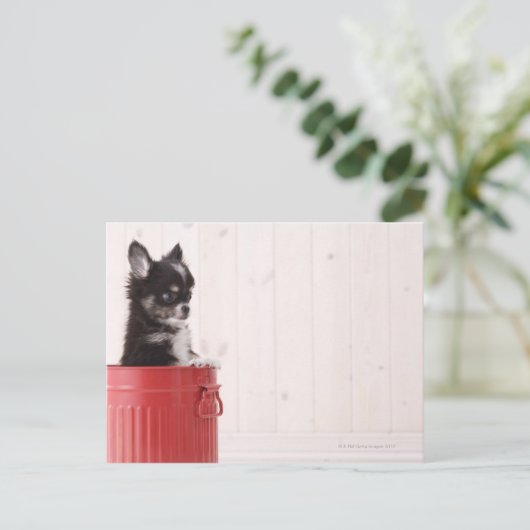 Japan 4 briefkaart (Staand voorkant)