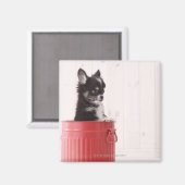 Japan 4 magneet (Voorkant / Achterkant)