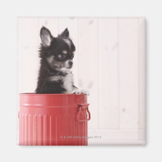 Japan 4 magneet (Voorkant)