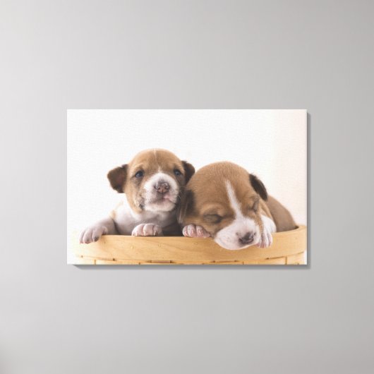 Japan 5 canvas afdruk (Voorkant)