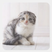 Japan 5 vierkante sticker (Voorkant)