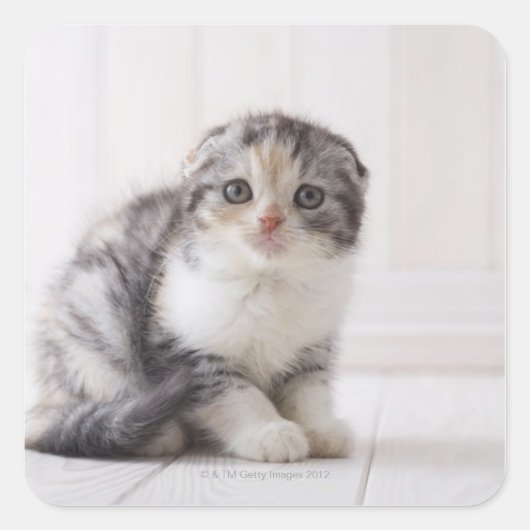 Japan 5 vierkante sticker (Voorkant)