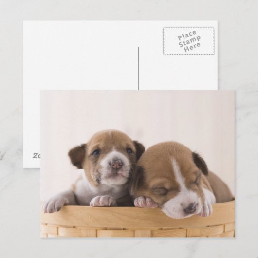 Japan Briefkaart (Voorkant / Achterkant)