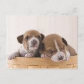 Japan Briefkaart (Voorkant)