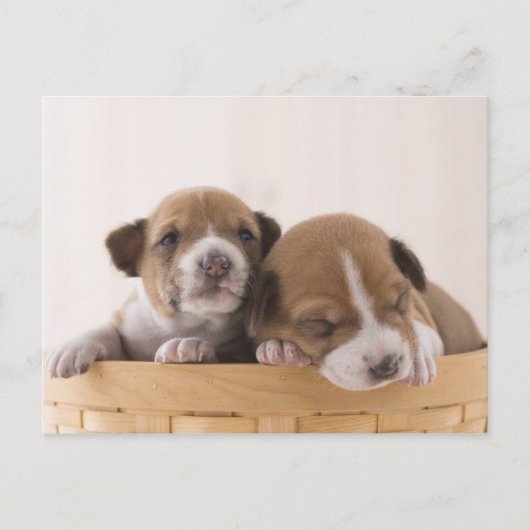 Japan Briefkaart (Voorkant)