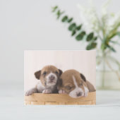 Japan Briefkaart (Staand voorkant)