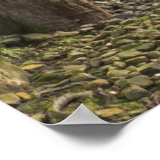 Japan, Fukui, Eiheiji Temple Poster (Hoek)