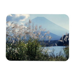 Japan, Honshu, Yamanashi Pref., Fuji-Hakone-Izu Magneet
