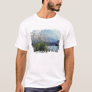 Japan, Honshu, Yamanashi Pref., Fuji-Hakone-Izu T-shirt