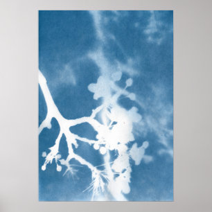 Japan Kersenbloesem Cyanotype Vintage Geïnspireerd Poster