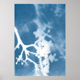 Japan Kersenbloesem Cyanotype Vintage Geïnspireerd Poster