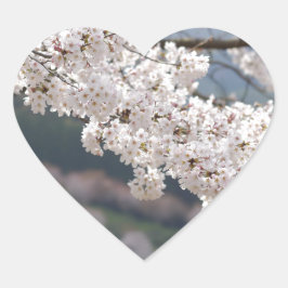 Japan Kumamoto Cherry Blossom Hart Sticker