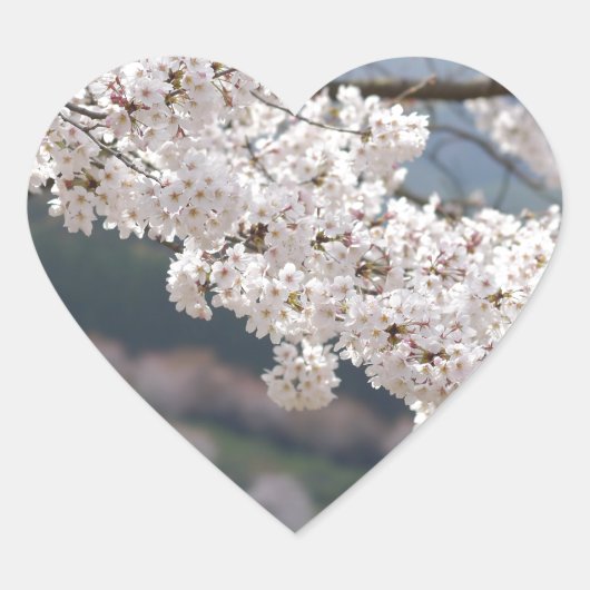 Japan Kumamoto Cherry Blossom Hart Sticker (Voorkant)