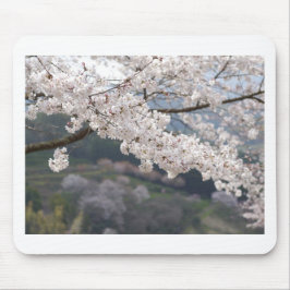 Japan Kumamoto Cherry Blossom Muismat