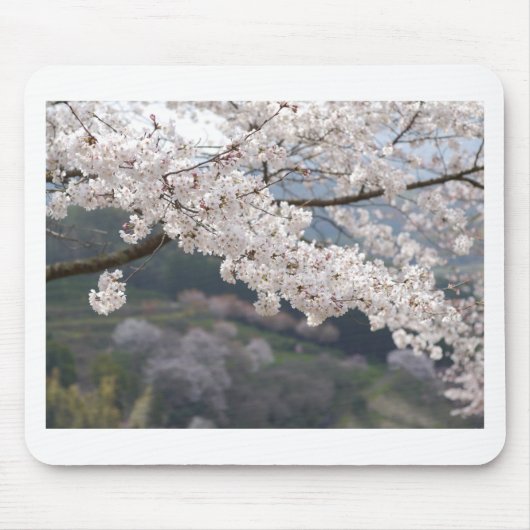 Japan Kumamoto Cherry Blossom Muismat (Voorkant)