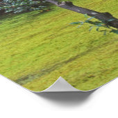 Japan, Kyoto, Arashiyama, Okochi Sanso Poster (Hoek)