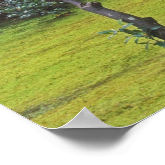 Japan, Kyoto, Arashiyama, Okochi Sanso Poster (Hoek)